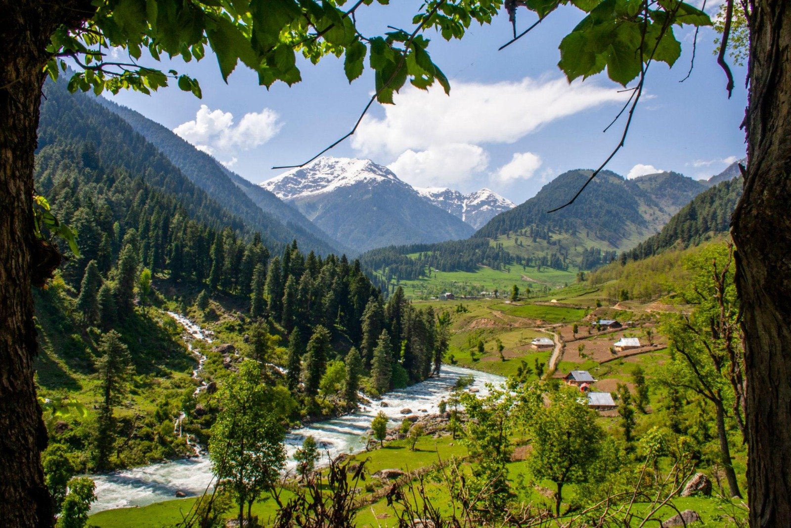 Kashmir 5 Nights – 6 Days Tour Package