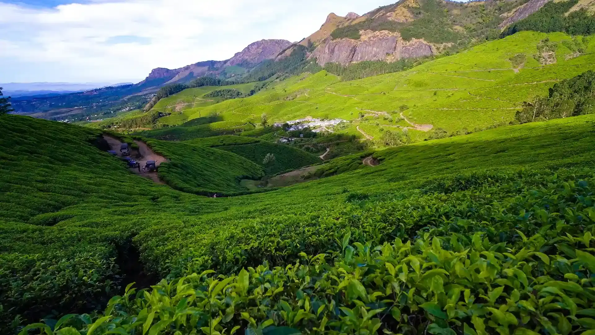 Kerala 5 Nights – 6 Days Tour Package