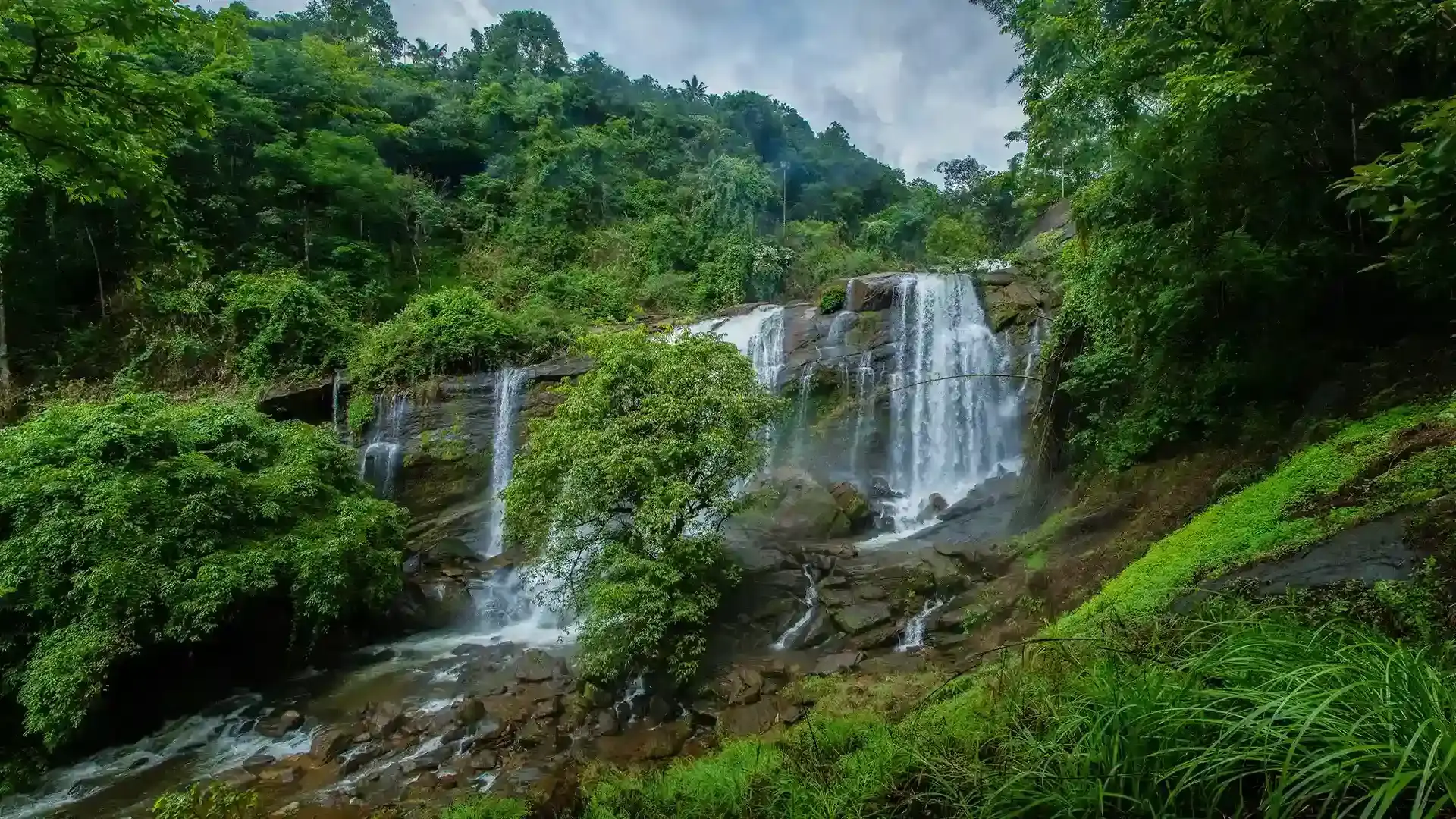 Kerala 5 Nights – 6 Days Tour Package
